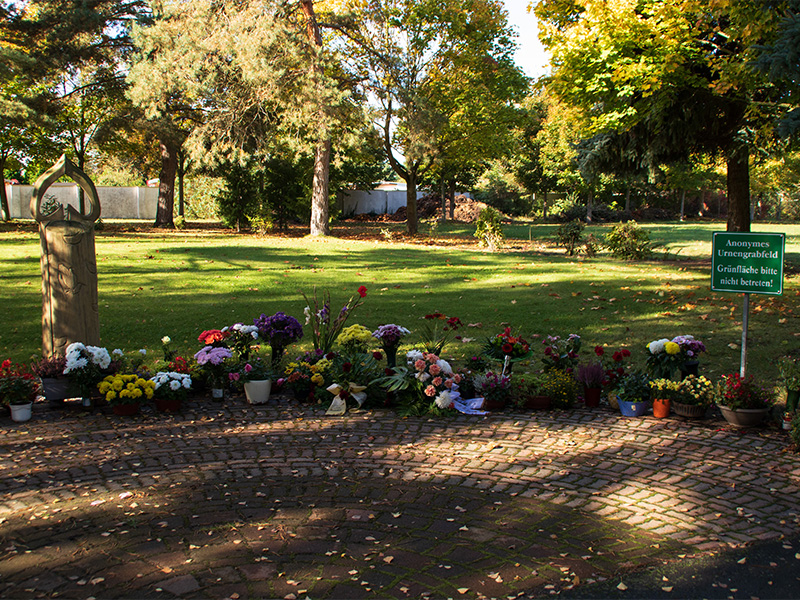 Grünes anonymes Grabfeld mit kleinen Rasengrabstellen – Symbol für schlichte, natürliche und würdevolle Erdbestattung.